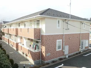 クローバーの画像