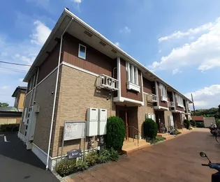 COTTON ROSE 弐番館の画像
