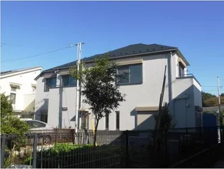 ムゲットの画像