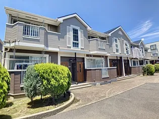 プリムローズの画像