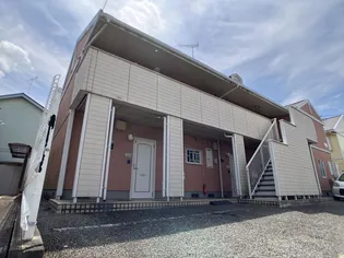 ホワイトペルテの画像