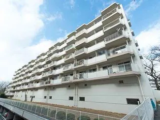 ドルフ青葉台3号棟の画像