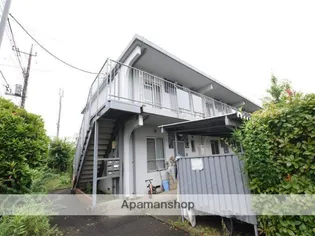 サンホワイトBの画像