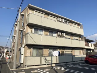 RURBAN HASHIMOTOの画像