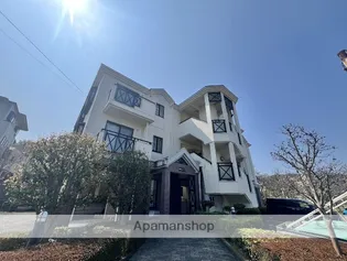 MSビューラーの画像