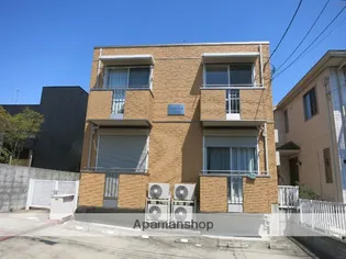 コスモス希望の画像