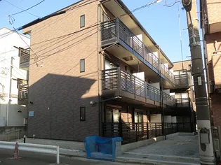 レオネクストティー エムの画像