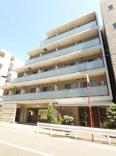 魔法の森の画像