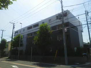 サザンウインドの画像