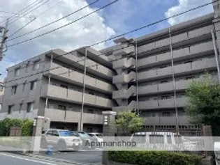 ステラコートの画像