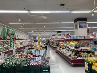 メインステージ三ノ輪WEST【7階】の周辺