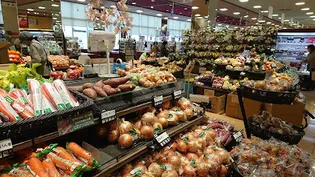 メインステージ三ノ輪WEST【7階】の周辺