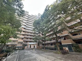 ルネ ベイグランデの画像