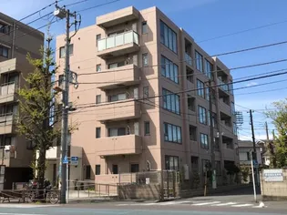 BLUE SHALLOWSの画像