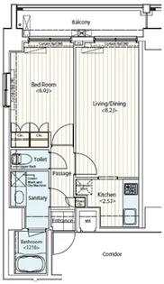 ドゥーエ新富町【0802号室】の間取り