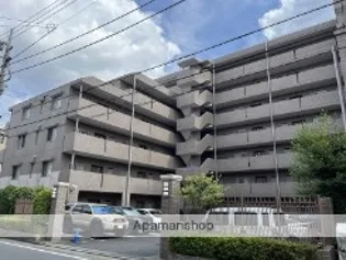 ステラコートの画像