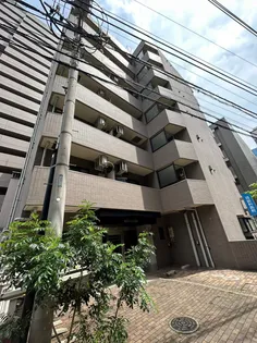 カテリーナ大森の画像