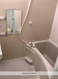 リーヴェルポート四つ木AXIS【2階】の風呂