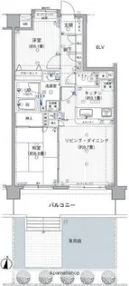 日神パレステージ新小岩第3【1階】の間取り