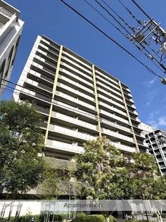 アデニウム新小岩の画像