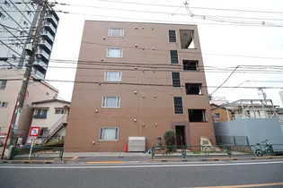 カーネリアンコート T Sの画像