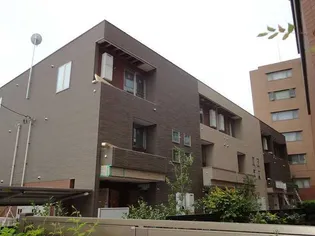 ステラ ルーチェの画像