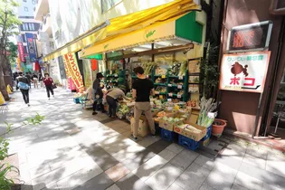 SーRESIDENCE錦糸町パークサイド【5階】の周辺