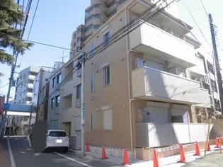 ステラカーサの画像