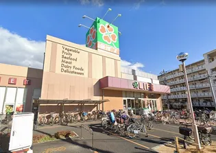 ラミアカーサお花茶屋【1階】の周辺