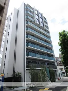 ダーシャモリの画像