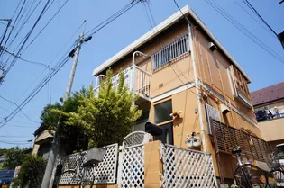 ハレダイシの画像