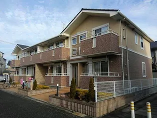 コンフォートの画像