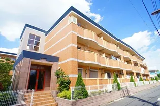 リズ センティア Aの画像