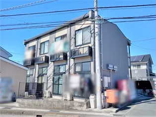 クリサンテーモの画像