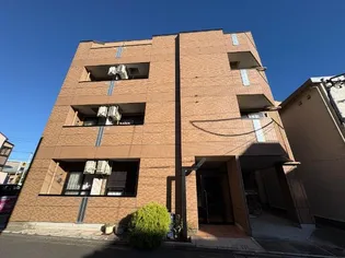 アークトゥルスの画像