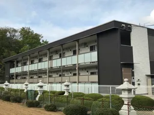 ミランダルーチェIIIの画像