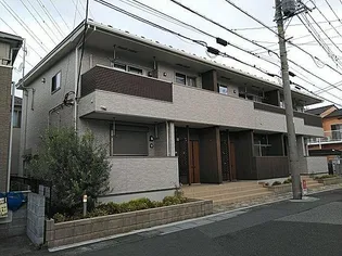ルミエールの画像