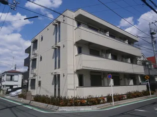 アルトテラの画像