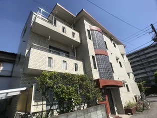 ハイムシマの画像