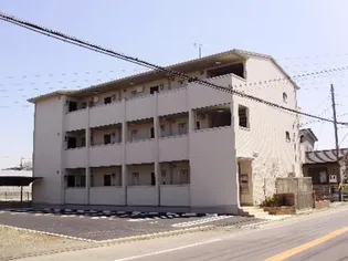 シーガルの画像
