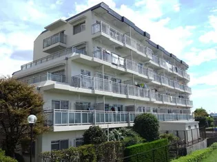 ルネ立石の画像