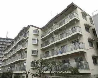 ルネ立石の画像