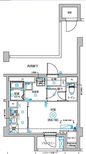 DIPS西新井【1階】の間取り