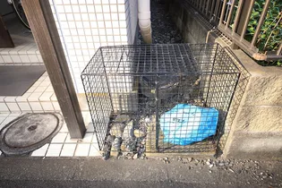 フランシール越野【2階】のその他画像