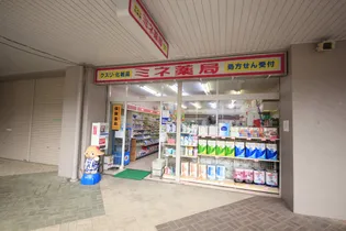 ヴァンベールTATE【512号室】の周辺