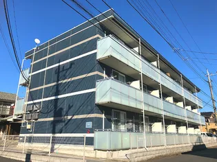 レオネクストドリーム金子の画像