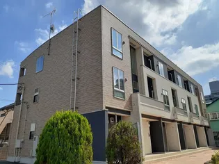 プルメリアCの画像