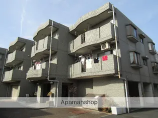 エヴァーグリーンの画像