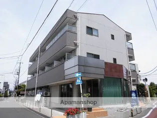 サンホワイトエトワールの画像