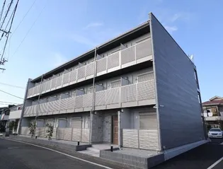 マーガレットの画像